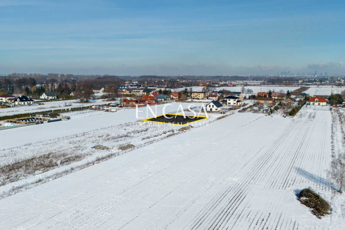 Plot Sale Laszczki Cytrynowa 7